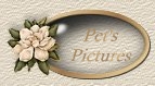 Our Pets