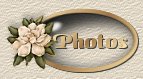 Our Photos