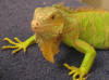 Friskie being well behaved... for once!