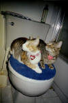 Ricki and Luci