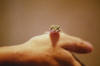 Our little Geko with David
