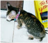 Mommy, can I read?