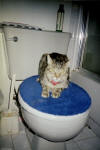 Ricki... Please don't be mad... 